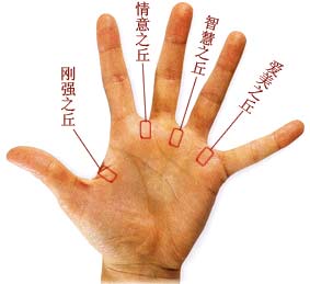 手指之间丘与谷的手相